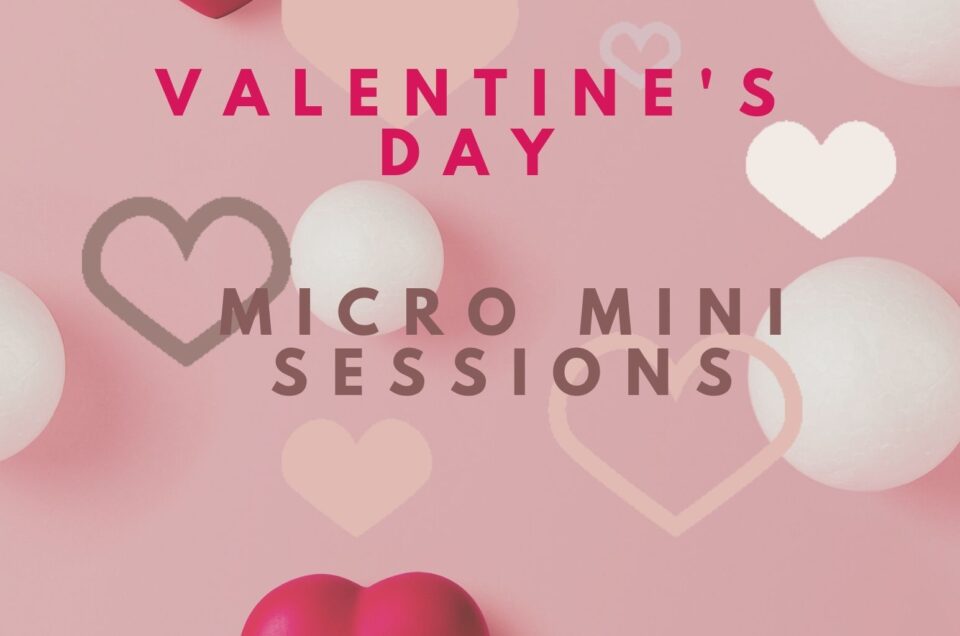 Valentine's Day Minis!