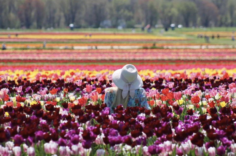 Spring Minis & Mother's Day Minis